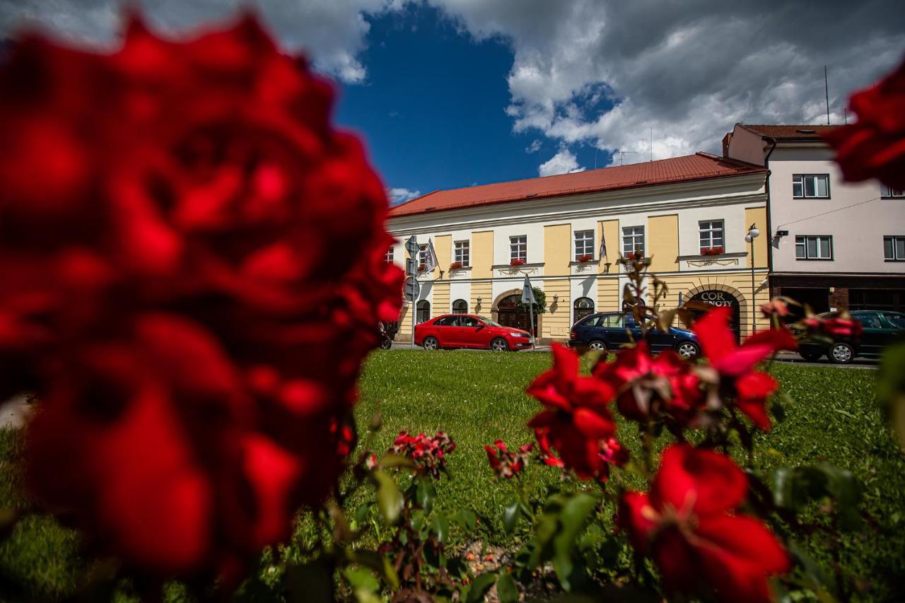 Penzion Satlava Nove Mesto nad Metuji Exterior photo